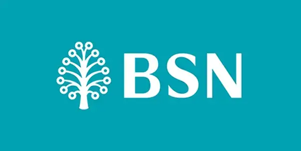 bsn_logo